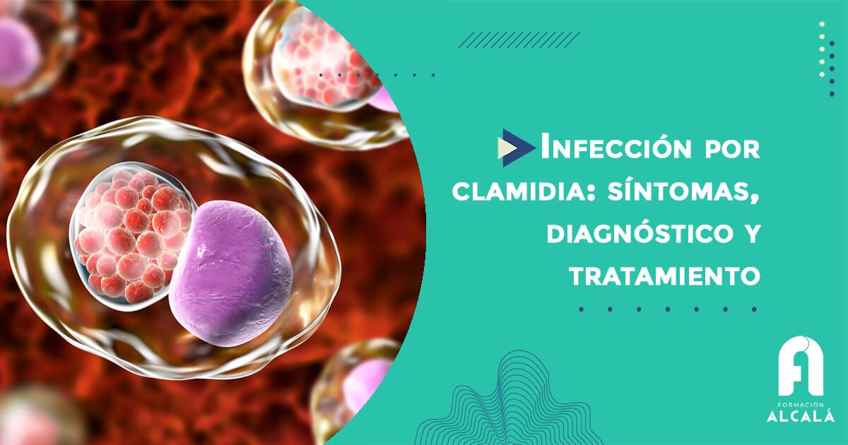 Infección por clamidia: síntomas, diagnóstico y tratamiento