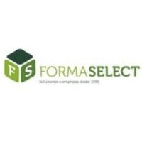 FORMASELECT ESPAÑA S.L.
            