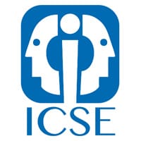 ICSE S.L.
            