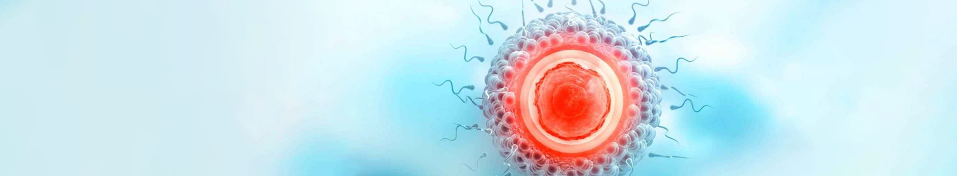 Curso Universitario en Técnicas Avanzadas en Embriología de ...