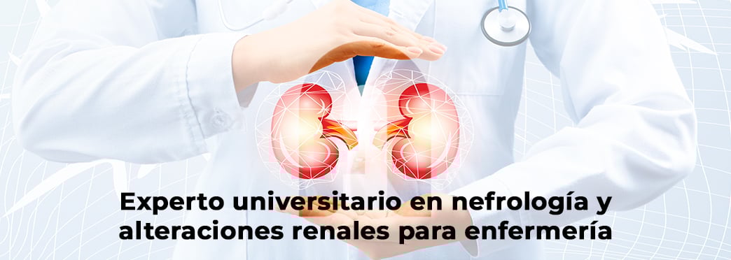 Experto universitario en nefrología y alteraciones renales para enfermería